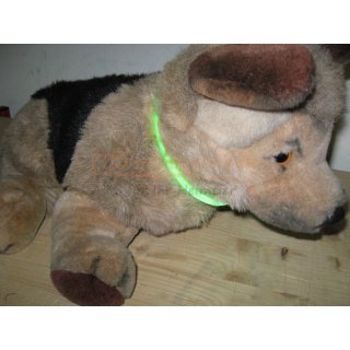 Hunde Halsband Leuchtring in verschieden Gren. Blink oder Dauerlicht, circa 10 Stunden Blinklicht, aufladbar am USB Port