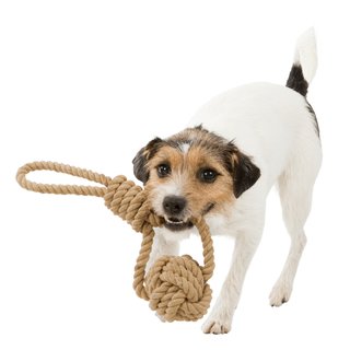 Hunde Spielzeug Be Nordic Mae:  8/30 cm Spieltau mit eingeflochtenem Ball