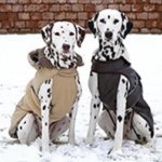 Hundemantel fr den Winter
