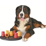 Hunde Spielzimmer agility Beschäftigung
