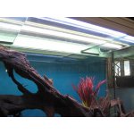 Aquarium LED Aquarienbeleuchtung