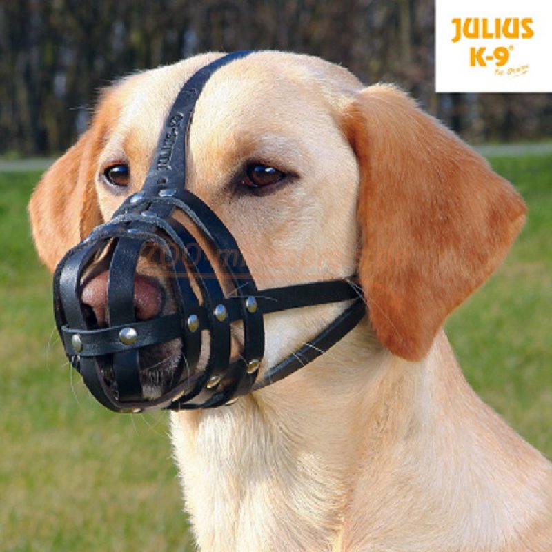 hunde maulkorb leder julius k 9 auch polizei hundemaulkorb genannt 15 00