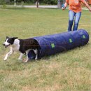 Dog-Activity Agility-Tunnel  40 cm 2 m. Aus...