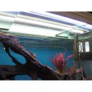 Aquarium LED für Seewasser Aquarien Easy Universal, zum...