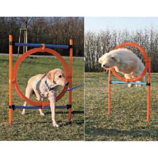 Agility Ring 115cm, Stangendurchmesser 3 cm, Ringdurchmesser 65 cm die Steigerung zur Agility Hrde.