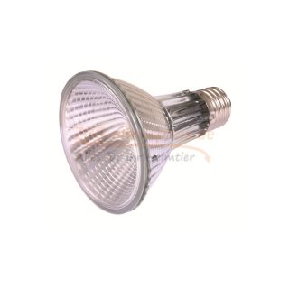 H a l o g e n Heat Spot Pro Spotlampe  - Wärme-Spotlampe 50 Watt, - E 27 - Dimmbar