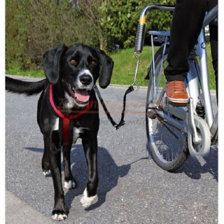 Hunde Biker Set, für ein sicheres Führen des Hundes am Fahrrad, stabil und belastbar