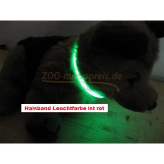 Hunde Halsband Leuchtring in verschieden Gren. Blink oder Dauerlicht, circa 10 Stunden Blinklicht, aufladbar am USB Port 12660 Halsband rot 35 cm