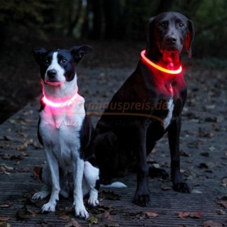 Hunde Leuchthalsband  bzw. Blinkhalsband für Hunde in div. Größen, Farbe orange, individuelle Größenanpassung 
