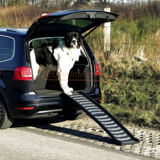 Hunderampe Klapp-Rampe Petwalk Kunststoff mit TPR Laufflche Mae: 39  160 cm bis zu 70 kg