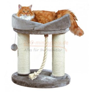 Katzen Kratzbaum  MARCELA Hhe 60 cm Grundflche 53  43 cm