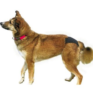 Schutzhschen fr Hunde in beige und schwarz, versch. Gren