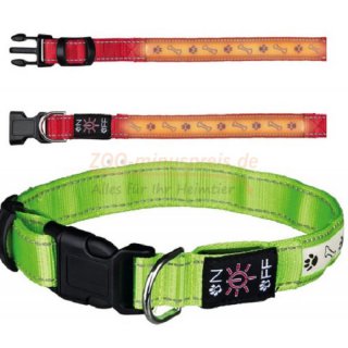 Hunde Flash Leuchthalsband USB, Blink- oder Dauerlicht einstellbar, Akku über USB-Kabel aufladbar