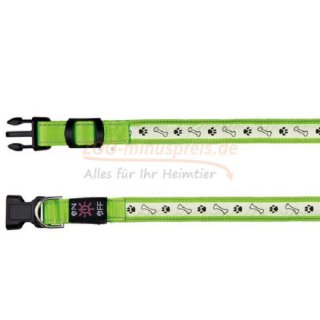Hunde Flash Leuchthalsband USB, Blink- oder Dauerlicht einstellbar, Akku über USB-Kabel aufladbar