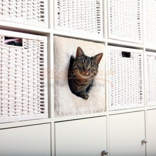 Katzen Kuschelhöhle 37 x 33 x 33 cm, mit Plüschbezug passend für z. B. IKEA Kallax oder Expedit Regale, mit Wendekissen