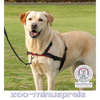 Stat Bugsering barndom Hunde Lead'n'Walk Soft Geschirr in versch. Größen. Hindert den Hund a,  14,90 €