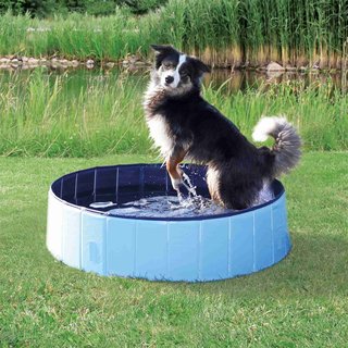 Hunde Pool, Planschbecken in versch. Größen. Seitenwände und Folie extra stabil für das Haustie